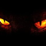 Profilbild von Bapho